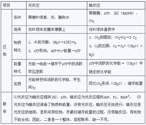 高考生物必备知识点:光合作用考点解读
