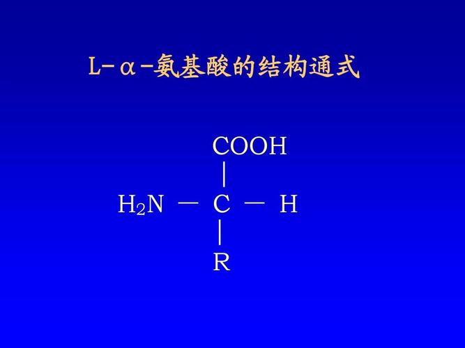 氨基酸(amino acid)的结构与性质ppt课件