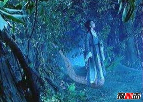 女娲真身吓人图片大全,人首蛇身的诡异存在真可怕