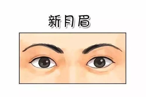 什么样眉毛最旺财