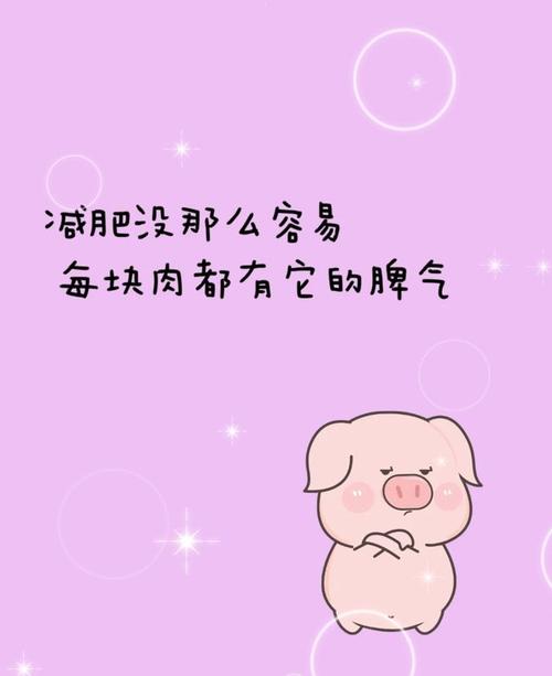网友们晒出的胖纸减肥搞笑语录,哈哈哈哈哈哈哈哈!