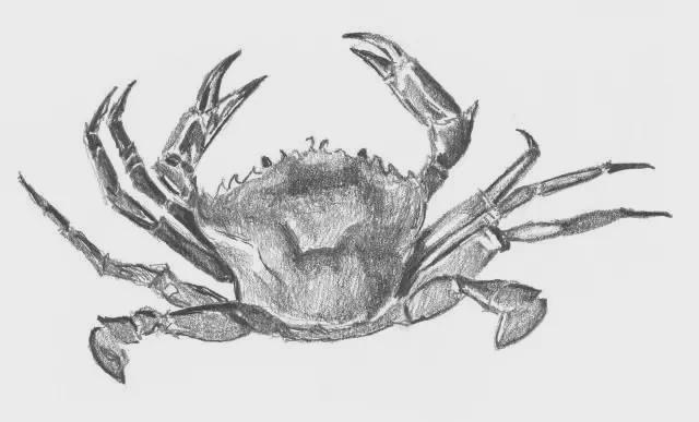 适合零基础学习的素描入门小教程及全套pdf电子书教程