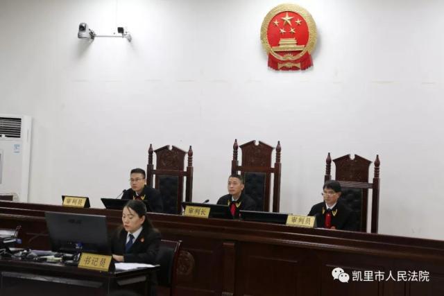 凯里市人民法院院长,检察院检察长同堂办理20名被告人