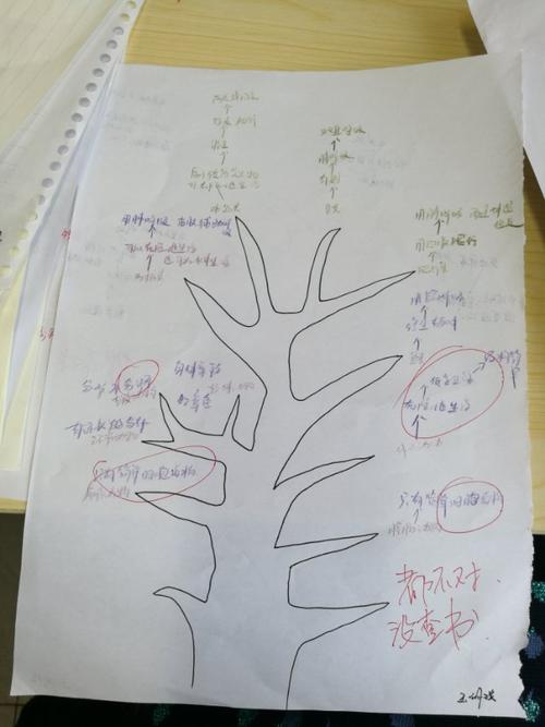 生物进化树作业反馈