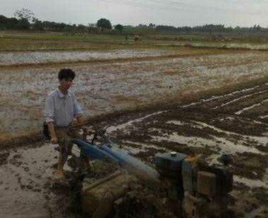 打田拖拉机 - 4300元