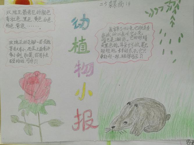 逸夫小学二5班"有趣的动植物"手抄报