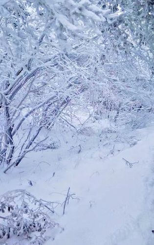 【新闻早班车】安徽竟然下雪了?合肥接下来的天气不敢