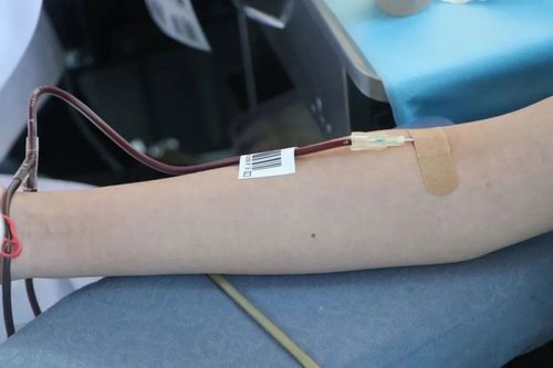 青春热血 奉献社会|江苏二师师生无偿献血 传递温暖播撒爱