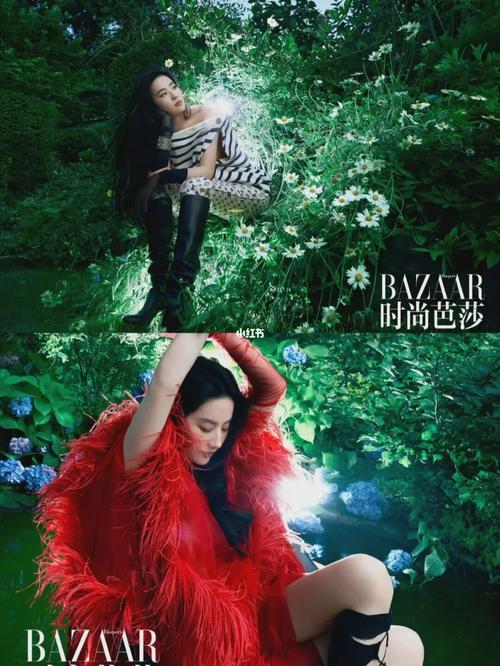 刘亦菲丛林 时尚芭莎7月刊封面人物_刘亦菲_时尚_时尚