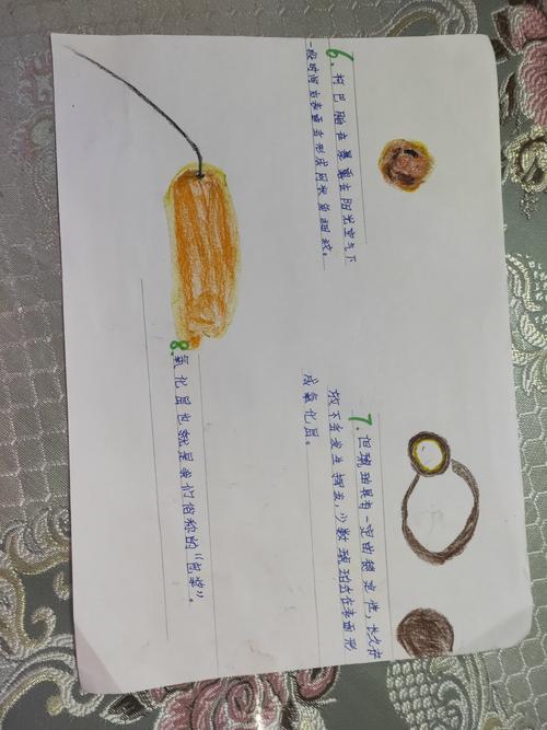 琥珀的形成过程