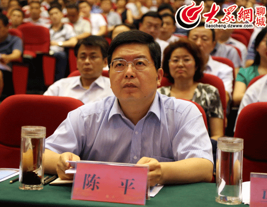 图为市委副书记陈平
