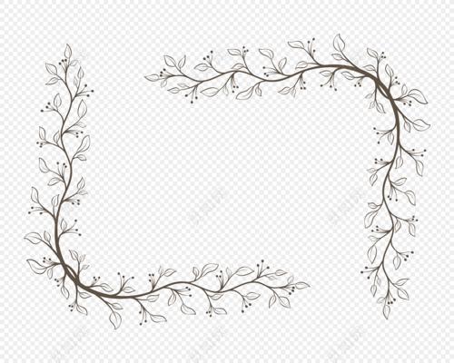黑白剪影清新花藤藤蔓花边边框