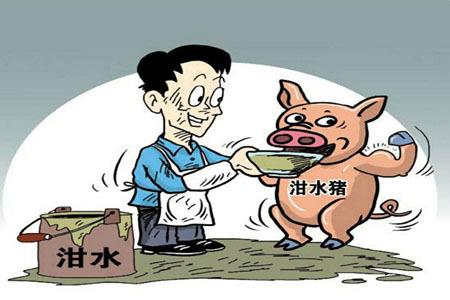 泔水猪的危害—易致癌