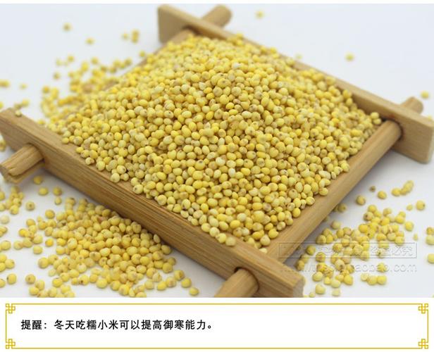 新大黄米粘黄米糯小米农家黏黄米黍米包粽子粟米杂粮糜子粘米