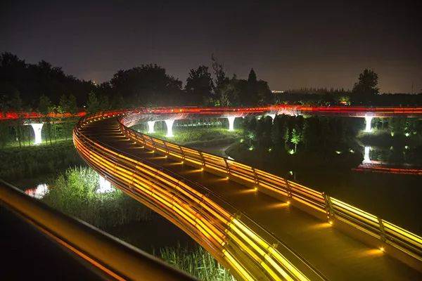 夜幕下的彩虹桥(组5)-许燕仙