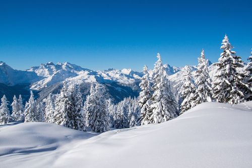 冬天雪景作文