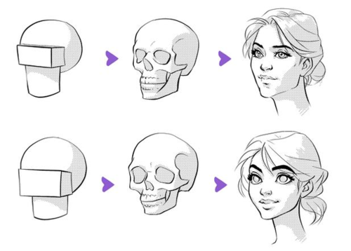 超详细的头部五官结构分解小白学习