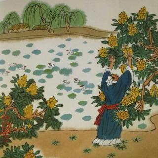 小kai读诗083初夏游张园