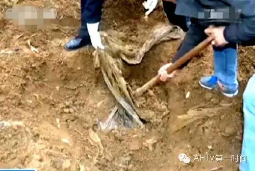 挖尸现场