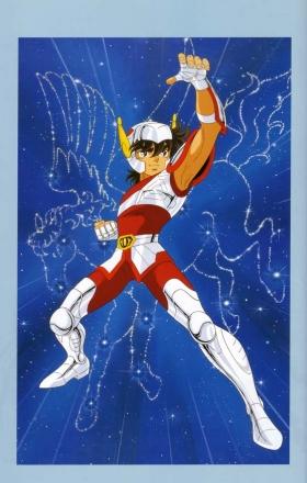 天马流星拳:【物理】使用天马流星拳攻击对方5次,每拳造成目标65%伤害