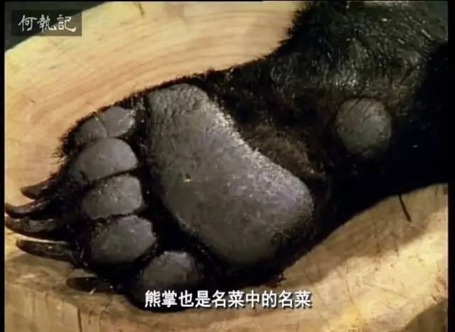 熊掌,古时皇宫贵族的贡品原材料,去毛剔骨后,与鸡鸭火腿海味同熬.