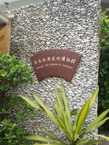 蚝岗遗址博物馆图片 - 第3张