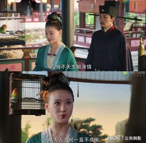 《大宋宫词》拒绝长公主,爱上大宋最强的女人,苏义简