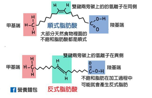 结构存在, 双键上两个相邻的氢原子位于于同一侧面, 称之为顺式脂肪酸