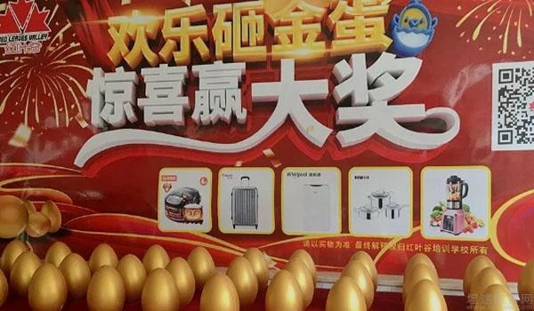 快来青岛红叶谷学校砸金蛋抢丰厚礼品
