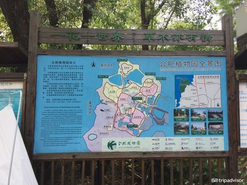 合肥植物园旅游攻略,合肥植物园景点地图,全球游客点评 - tripadvisor