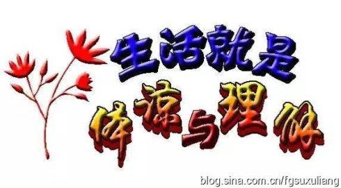 也不是你的精明,更不是你的手段,而是一种简单的理解和体谅!