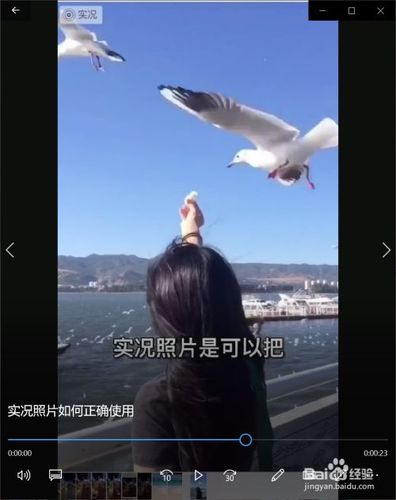 实况照片如何正确使用