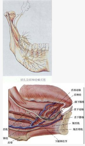 广西住院医师口腔科口腔颌面外科学章节练习20160124