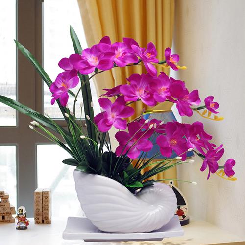 搬家送什么花合适