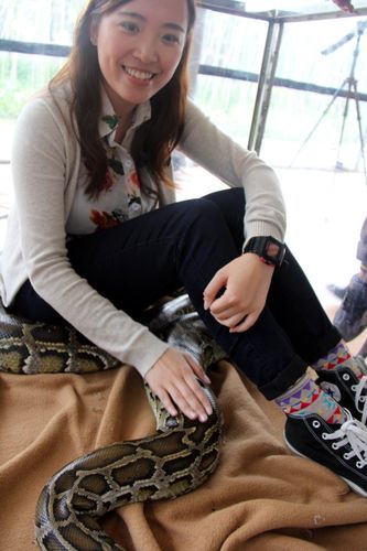 美女与蛇同箱 小孩与蛇亲热 三水少年与蛇同居半月引来众多体验者