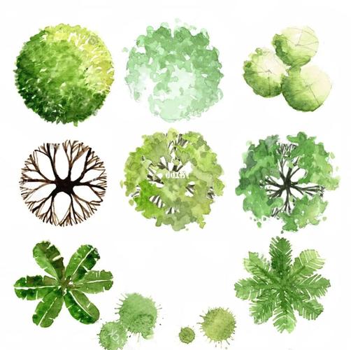 ps彩绘平面植物素材分享_p图_素材_彩绘_郑州自由行热门攻略_郑州_ps