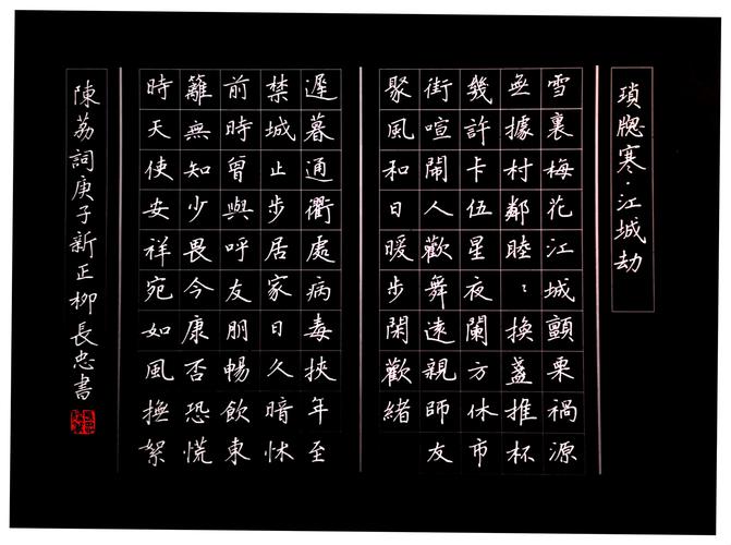 "艺心战疫,共克时艰" 中国硬笔书法协会楷书委 大书法作品展 第一期