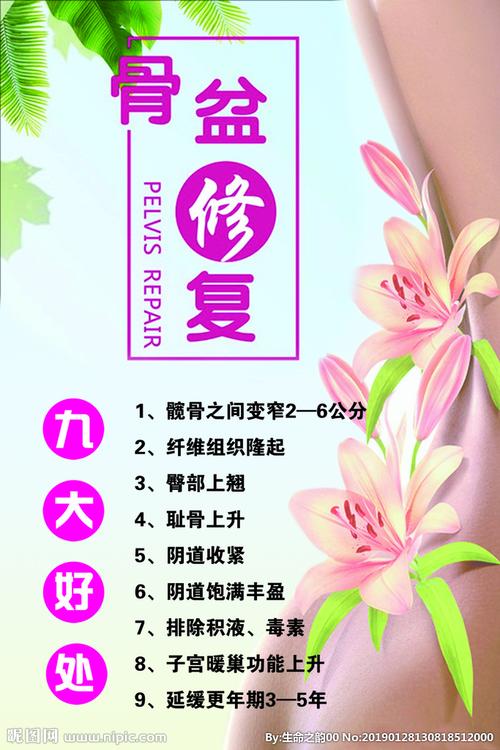 骨盆修复图片