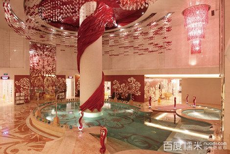 金碧海洋之星