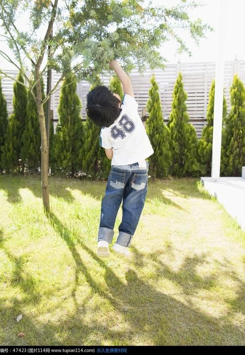 跳起来摘树叶的小男孩