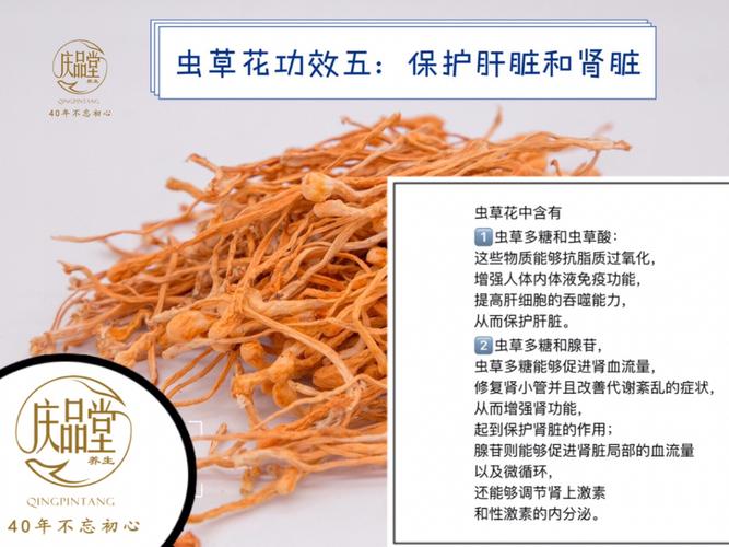 虫草花--功效多多_医疗健康_小红书