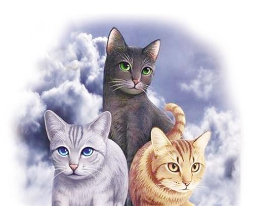 猫武士情侣头像