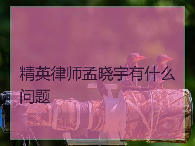 精英律师孟晓宇有什么问题_精英律师何嘉一是谁