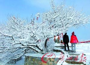 北方看雪游渐入佳境 下月起赏雪游或涨价20%