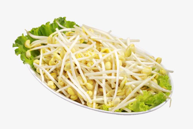 新鲜黄豆芽图片免抠png素材免费下载,图片编号2295591