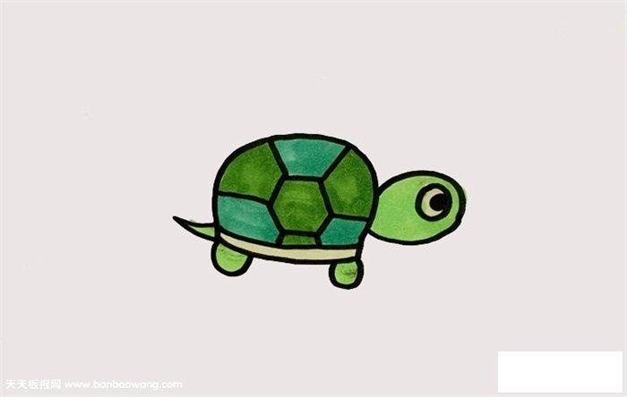简单的乌龟怎么画,简单又可爱的小乌龟怎么画
