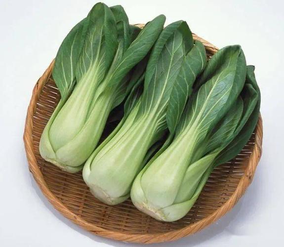 上海青