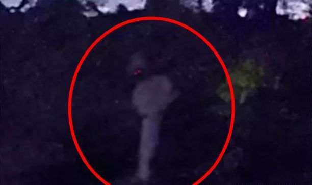 印尼的天蛾人!人形漂浮物隐匿树丛,双眼发红光,甚是恐怖!