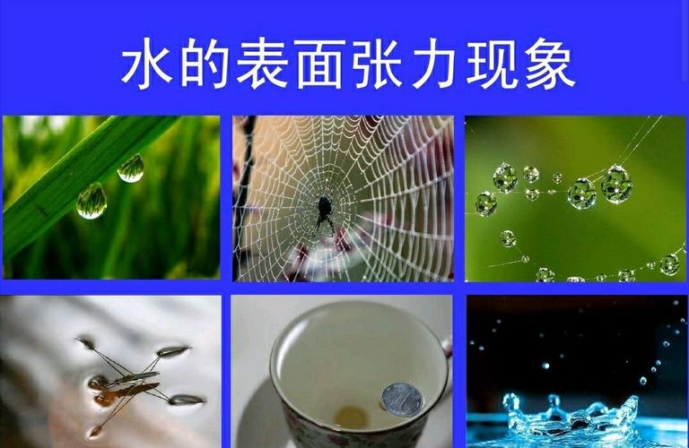 主题活动——水的表面张力,制作泡泡水