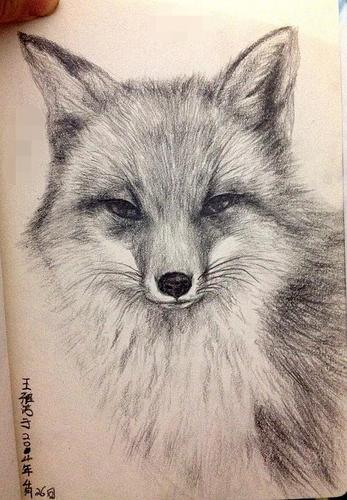 来自: 宸 6(小狐狸.